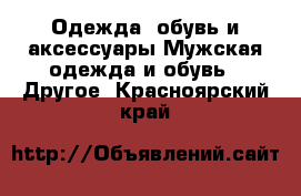 Одежда, обувь и аксессуары Мужская одежда и обувь - Другое. Красноярский край